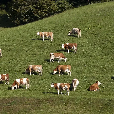 Garni Tirol Walchsee