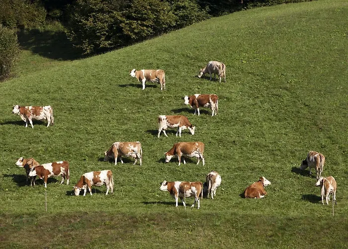 Garni Tirol Walchsee